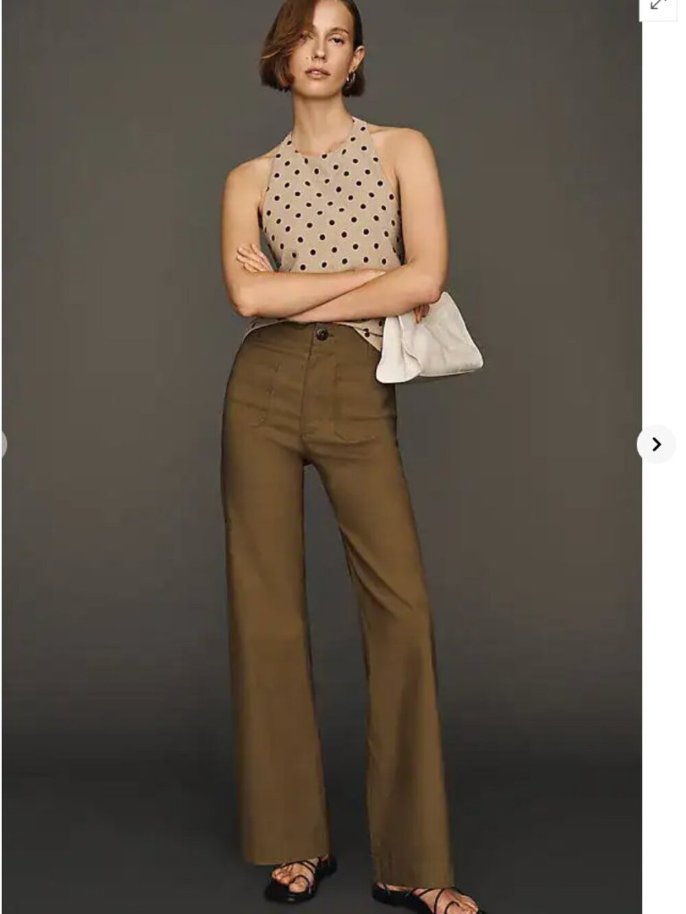 Antrhopologie NWT Colette High-Rise Wide-Leg Full-Length Pants in Magic Fabric